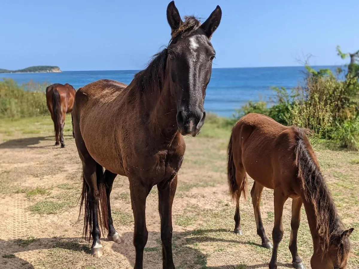 Brand New! Black Sand Beach-Casa Nose' Vieques