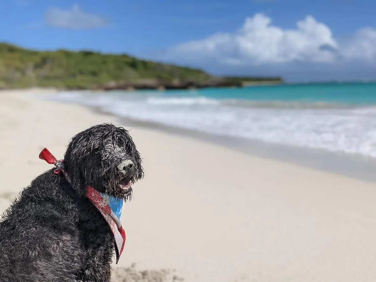 Holiday home Brand New! Black Sand Beach-Casa Nose' Vieques